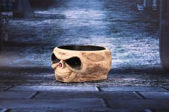 Cadılar Bayramı Halloween Kafatası Şekerlik Meyve Çanağı Gold