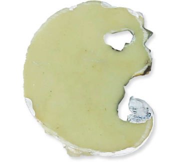 GELİN DAMAT AY ÜSTÜNDE  P20-960