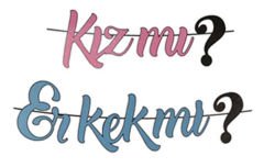FLAMA CİNSİYET BELİRLEME  PK:1 KL:100
