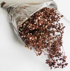 ÇİÇEK DOĞAL CİPSO PK:50 GR RETRO KAHVERENGİ KL:100