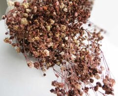 ÇİÇEK DOĞAL CİPSO PK:50 GR RETRO KAHVERENGİ KL:100
