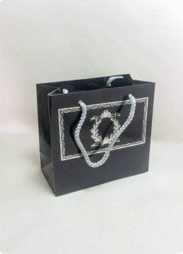 10 Lu (18x16 Cm) Körüklü,Baskılı, İpli, Sünnet Karton Çanta, Poşet