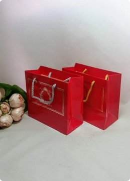 10 Lu (18x16 Cm) Körüklü,Baskılı, İpli, kına Karton kına Çanta, Poşet