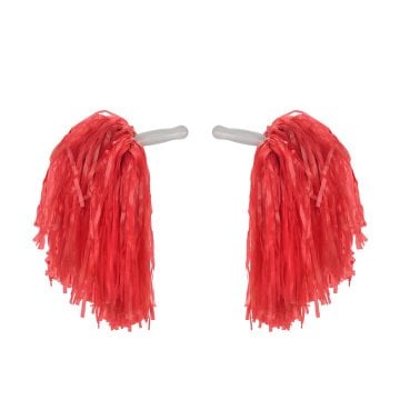 2 Li Gösteri Ponponu 30 gr