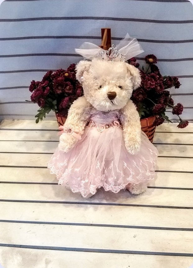 ~30 Cm Boyunda Peluş Prenses Kız Ayı Pembe