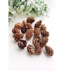 20 li Mini Kozalak Ağaç Süsü