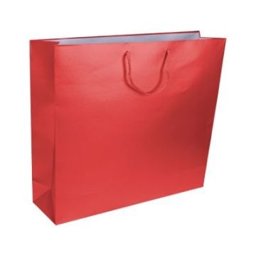 10 Lu 42x38 Cm Karton Poşet Büyük İpli Çanta