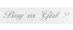 CİNSİYET KUŞAĞI  BOY OR GIRL GÜMÜŞ  2MT