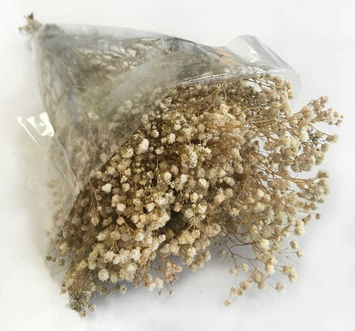 ÇİÇEK CİPSO PK:50 GR NATUREL KL:100