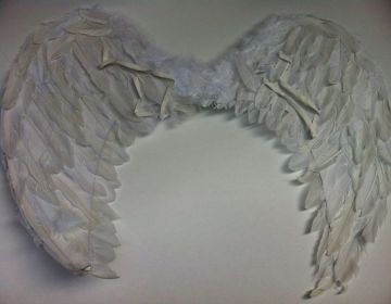 80 cm Melek kanadı