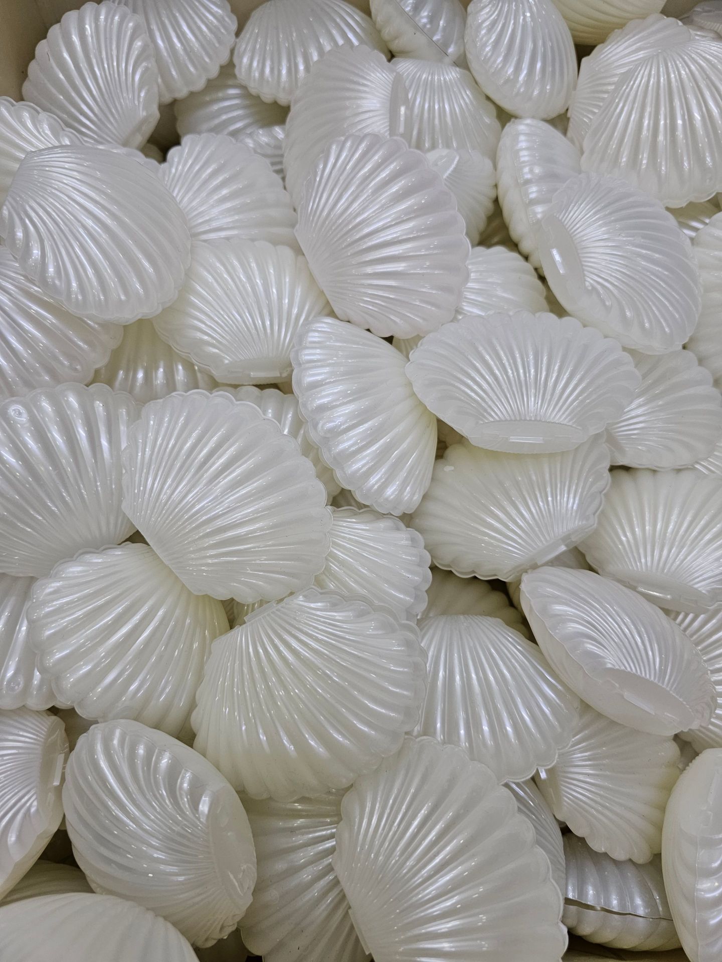 İSTİRİDYE İNCİ KUTU PLASTİK