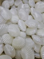 İSTİRİDYE İNCİ KUTU PLASTİK