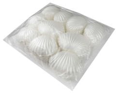 İSTİRİDYE İNCİ KUTU PLASTİK