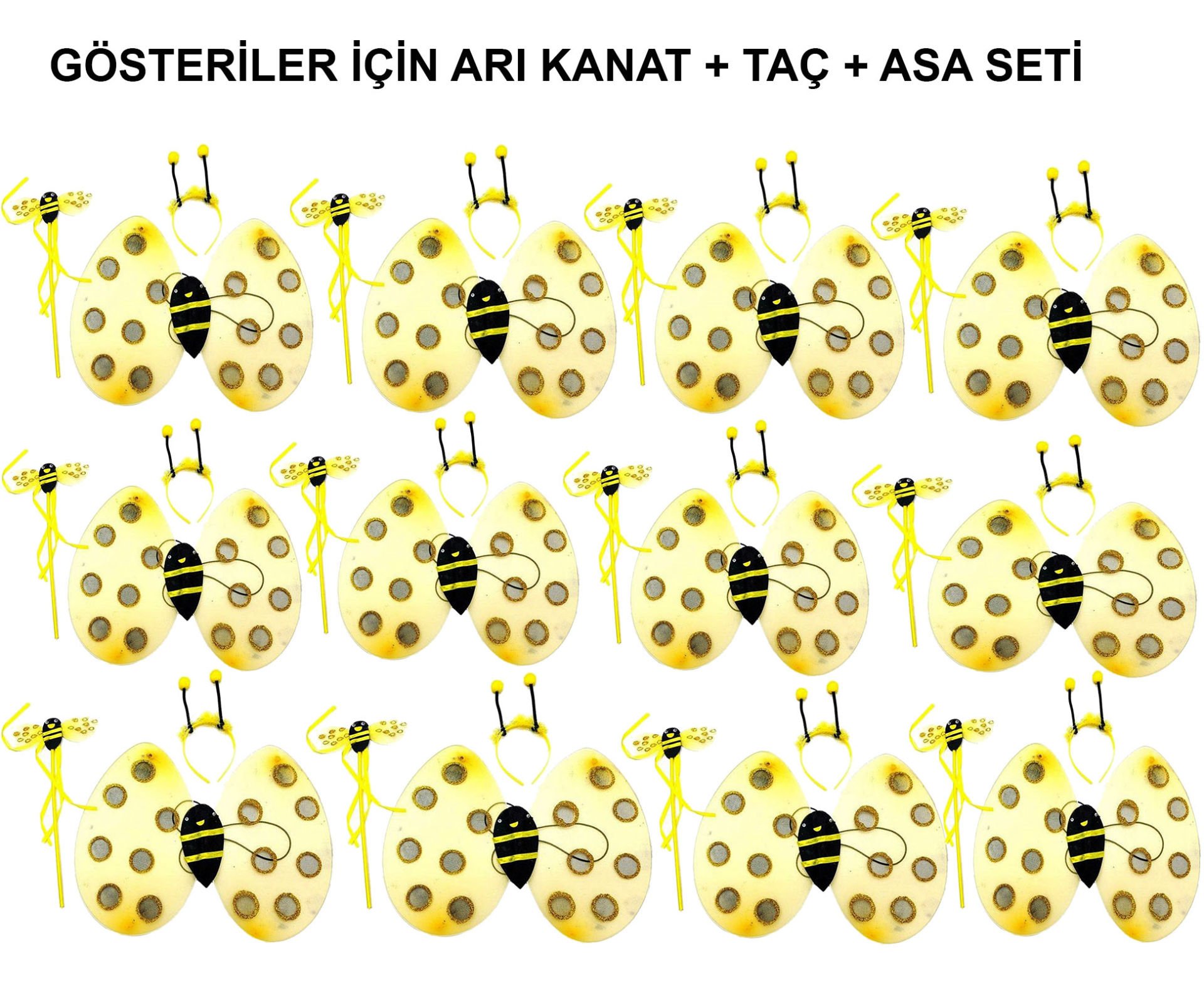 Okul Gösterileri için 12&#39;li Arı Kanadı Seti - Etkinlik Kanatları