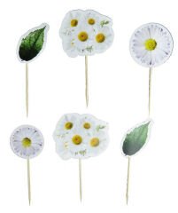 PASTA SÜSÜ PAPATYA PK:6 KL:100