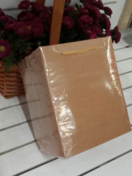 25 Li Kraft Toptan Hediyelik Karton Çanta 14x17 Cm