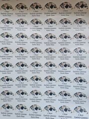 Kadınlar Günü Özelleştirilebilir 3 Cm Yuvarlak etiket 1 Sayfa (54 adet)