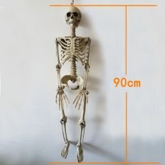 İnsan Vücudu İskelet Kemik Dekor 90 cm