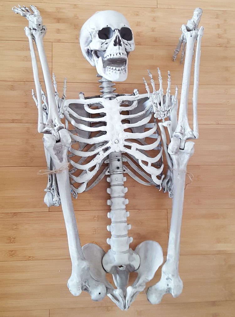İnsan Vücudu İskelet Kemik Dekor 90 cm