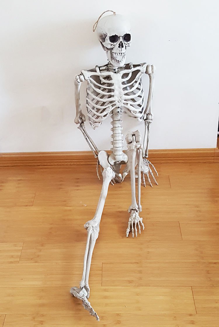 İnsan Vücudu İskelet Kemik Dekor 90 cm