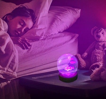 Dekoratif Atlı Karınca Tasarımlı Ahşap altlıklı Işıklı Cam Küre