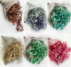 50 GRAM ÇİÇEK DOĞAL CİPSO