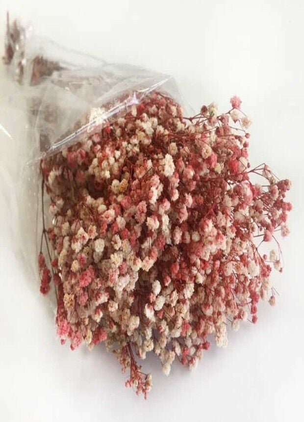 50 GRAM ÇİÇEK DOĞAL CİPSO