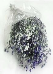 50 GRAM ÇİÇEK DOĞAL CİPSO