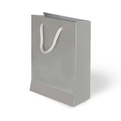 25 Li 20x25 Cm Düz Gümüş Körüklü Karton Çanta / Poşet