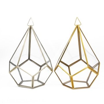 Petek Prizma Fanus/Teraryum