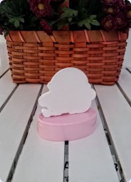 Girl/Boy yazılı bebek şekeri ( pvc şeker kutulu)