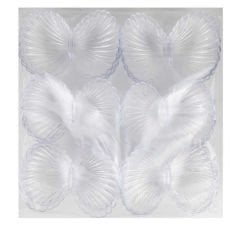 ŞEFFAF İSTİRİDYE İNCİ KUTU PLASTİK