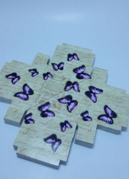 Demonte / katlanmamış  Altı Karton Kelebek desenli Asetat kutu