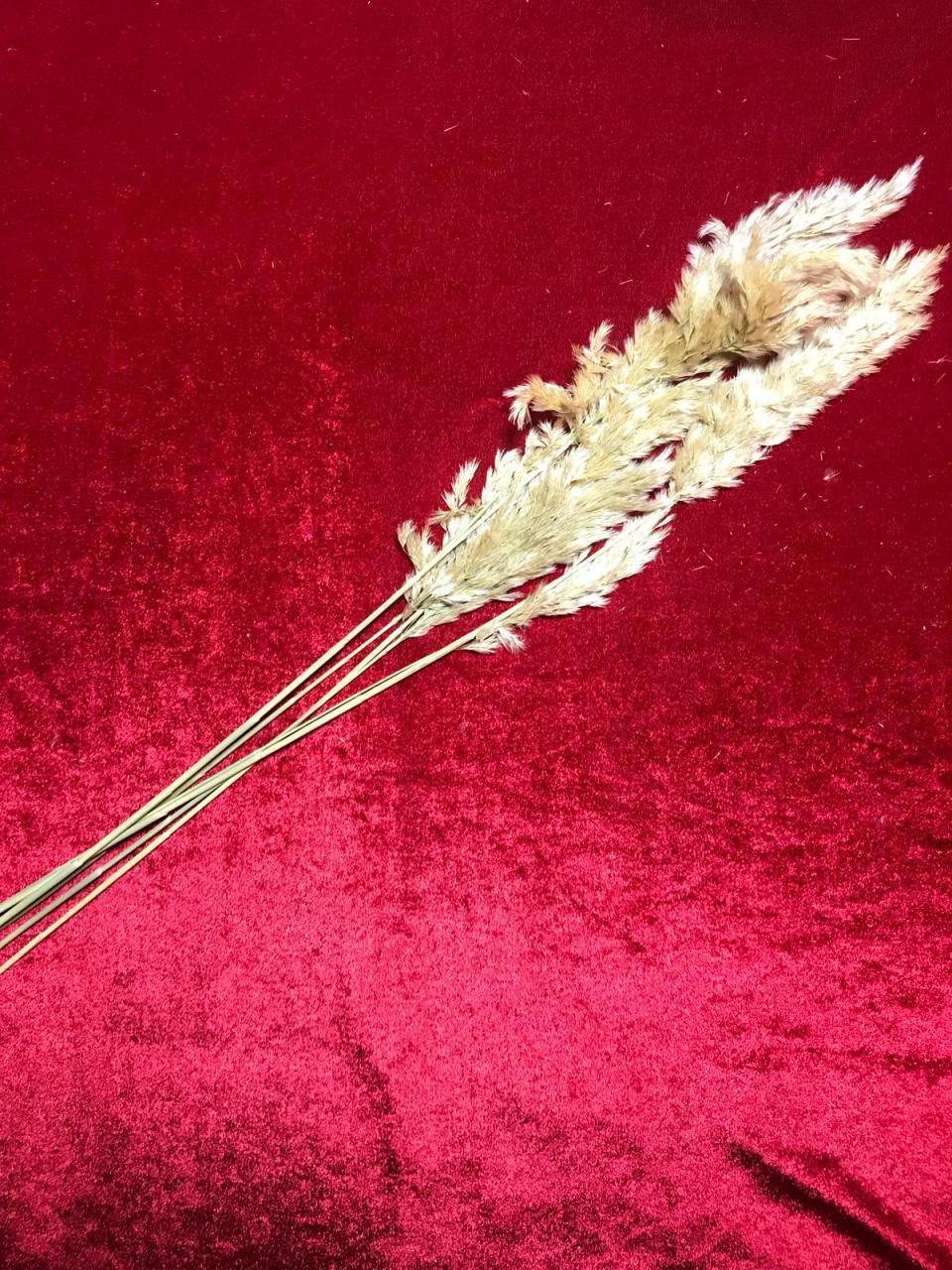 Demet şeklinde uzun tüy