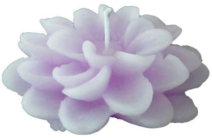 LOTUS , NİLÜFER MUM ASETAT KUTULU LİLA