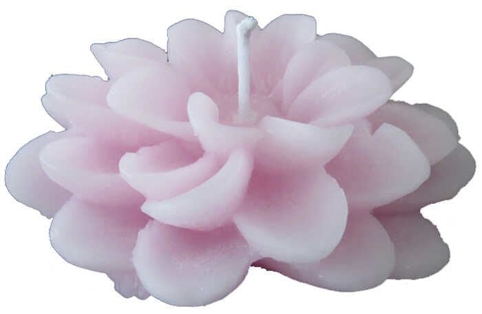 LOTUS , NİLÜFER MUM ASETAT KUTULU PEMBE