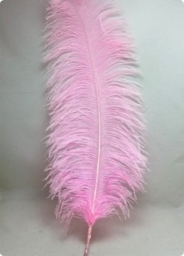 Deve Kuşu Tüyü Kanadı Süs Malzemeleri