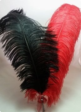 Deve Kuşu Tüyü Kanadı Süs Malzemeleri