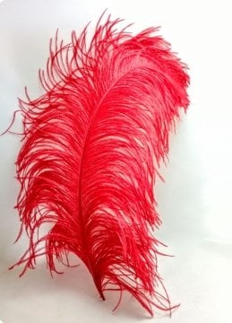 Deve Kuşu Tüyü Kanadı Süs Malzemeleri