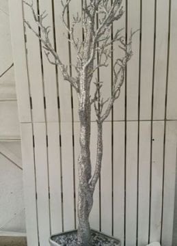 Saksıda Dilek Şeker (kurabiye) Sunum ağacı  90 cm
