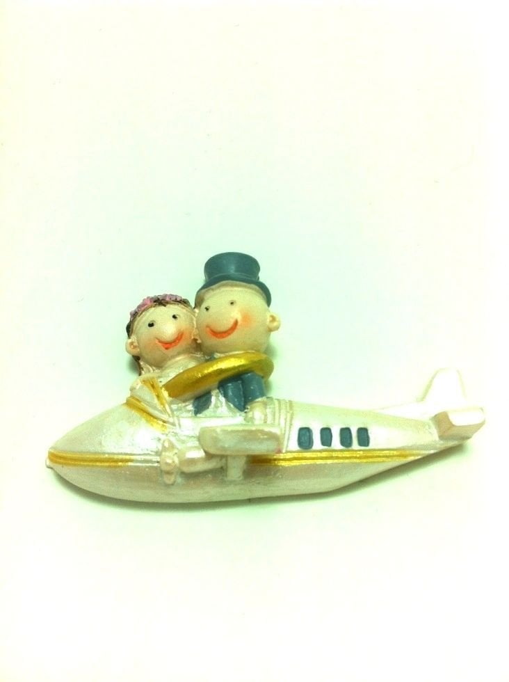 Uçakta Gelin ve Damat